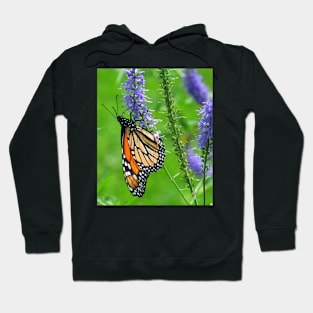 To everything there is a season....Monarch Hoodie